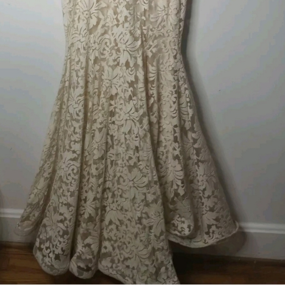 Elegant Cream Lace Dress - Picture 13 of 13